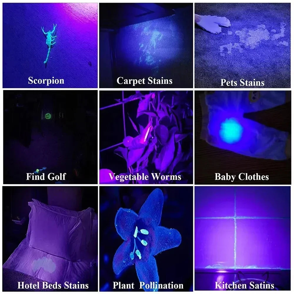 395nm UV Pen FLaslight,Blacklight Flashlight w/ Clip Portable Detector for Hotel/Pet Urine/Bed Bugs/Camping(AAA Battery Powered)